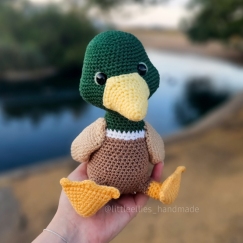 Dillie the Duck