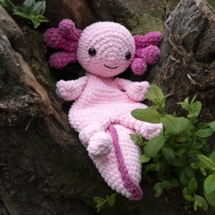 Axolotl Lovey amigurumi by MevvSan