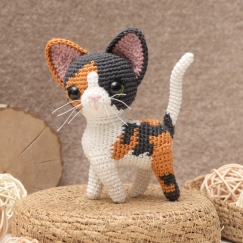 Taco the Calico Cat
