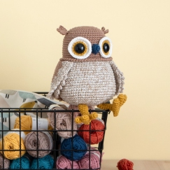 Button the Saw-whet Owl