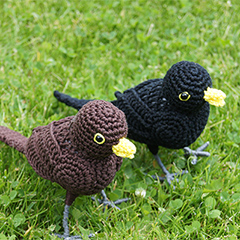 Blackbird amigurumi pattern by MieksCreaties