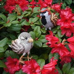 House Sparrow amigurumi pattern by MieksCreaties