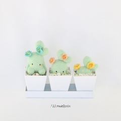 Emma Cactus amigurumi pattern by Madelenon