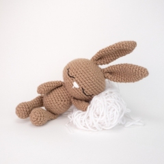 Sissy the Snuggly Bunny amigurumi pattern by Theresas Crochet Shop