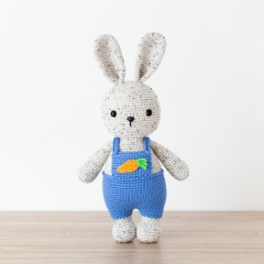 Chester the Friendly Rabbit amigurumi pattern by Bunnies and Yarn