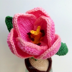 Tulip bulb amigurumi by Happy Coridon