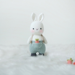 My chubby pet - Bunny amigurumi pattern by Bigbebez
