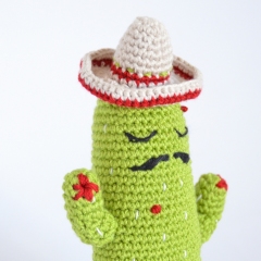 CACTUS WITH SOMBRERO amigurumi pattern by Elisas Crochet