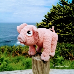 Fiona, the piggy amigurumi pattern by Cucapuntoes