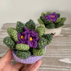 African Violet  amigurumi by Cloud 9 Knots