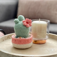 Desert Bloom Cactus amigurumi pattern by Cloud 9 Knots