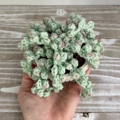 String of Pearls  amigurumi by Cloud 9 Knots