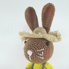 Roger the bunny gardener amigurumi pattern by Coco On The Rainbow