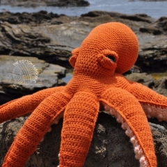 Orlando the Octopus amigurumi by The Kotton Kaboodle