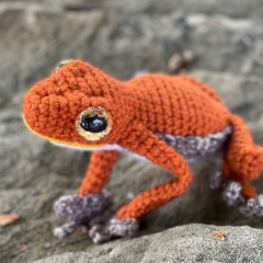 Ruby the Red Eyed Tree Frog amigurumi pattern by Critter-iffic Crochet