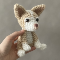Baby Chihuahua amigurumi by CrochetThingsByB