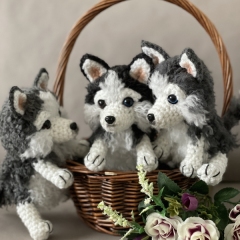 Husky Pup amigurumi pattern by CrochetThingsByB