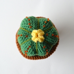 Small Cactus amigurumi by The Flying Dutchman Crochet Design