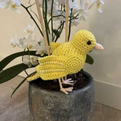 Canary amigurumi pattern by MieksCreaties