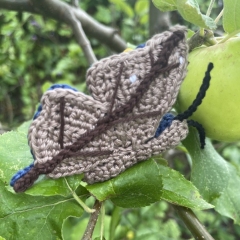 Indian leaf Butterfly amigurumi pattern by MieksCreaties