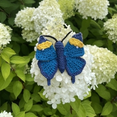 Indian leaf Butterfly amigurumi by MieksCreaties