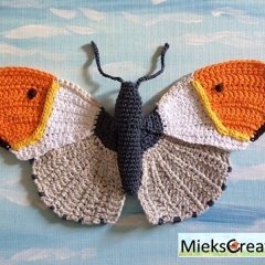 Orange Tip Butterfly amigurumi by MieksCreaties