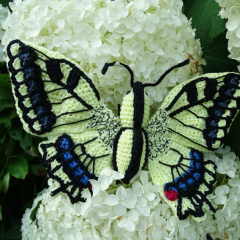 Papilio machaon amigurumi by MieksCreaties