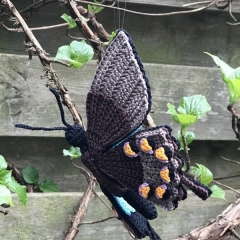 Papilio ulysses butterfly  amigurumi by MieksCreaties