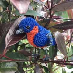 eastern bluebird amigurumi pattern by MieksCreaties