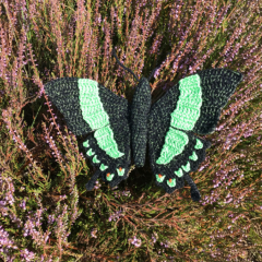 Green tropical butterfly Papilio Palinurus  amigurumi pattern by MieksCreaties