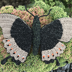 Green tropical butterfly Papilio Palinurus  amigurumi by MieksCreaties