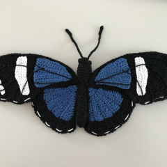 sara longwing butterfly amigurumi pattern by MieksCreaties