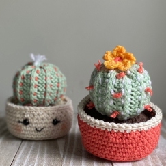 Barrel Cactus