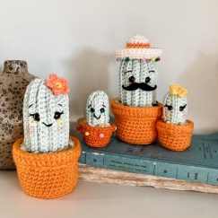 Fiesta Family Cacti