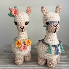 Llama