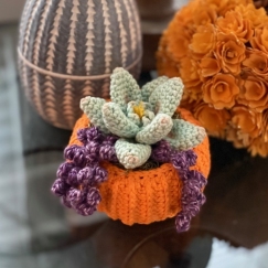 Succulent Pumpkin Planter