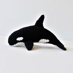 Orca Whale / Killer Whale