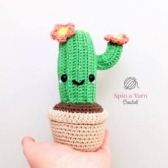 camilla cactus