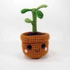 Pull and grow plant