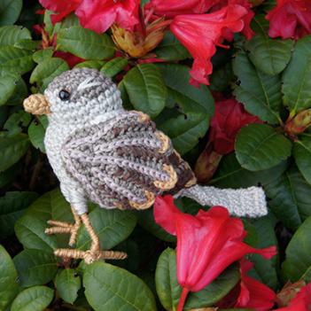 House Sparrow amigurumi pattern by MieksCreaties