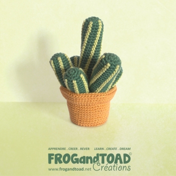 CACTUS - Gold Lace Lady Finger amigurumi pattern by FROGandTOAD Creations