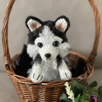 Husky Pup amigurumi pattern by CrochetThingsByB