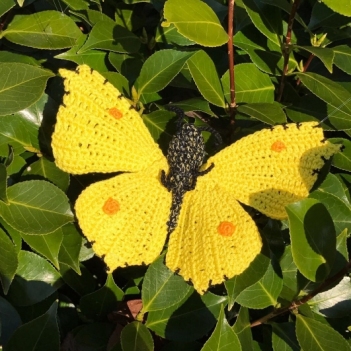 Butterfly the Brimstone amigurumi pattern by MieksCreaties