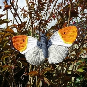 Orange Tip Butterfly amigurumi pattern by MieksCreaties