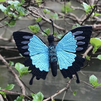 Papilio ulysses butterfly  amigurumi pattern by MieksCreaties