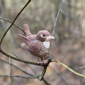 Wren bird amigurumi pattern by MieksCreaties