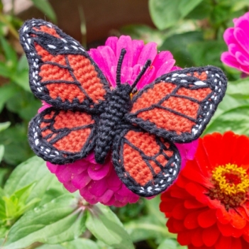 monarch butterfly amigurumi pattern