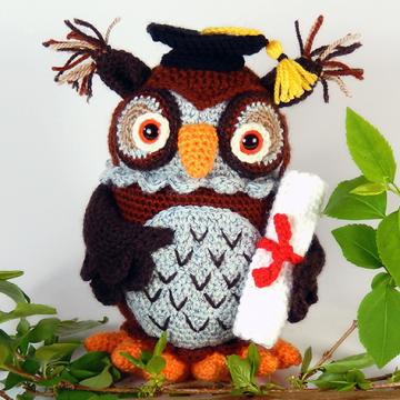 Wesley the wise owl amigurumi pattern by Janine Holmes at Moji-Moji Design
